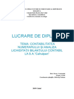 Lucrare de Diploma