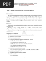 Tema 7. El Sistema Consonantico Medieval Español PDF