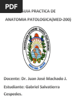 Tarea de Patoogia-1