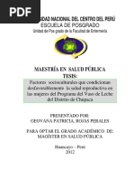 Tesis Salud Publica PDF