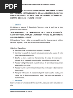 Plan de Trabajo para Elaboración Expediente Tecnico - Colcha