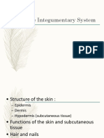 The Integumentary System