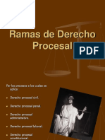 Ramas de Derecho Procesal