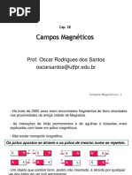 Cap. 28 - Campos Magneticos PDF