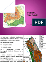 Podisul Moldovei