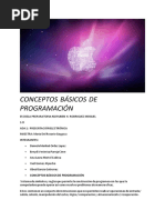 Conceptos Básicos de Programación