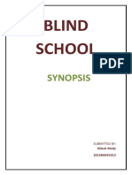 Synopsis of Blind School