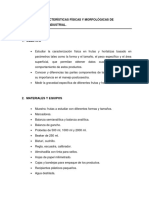 Práctica #1: Características Físicas Y Morfológicas de Vegetales de Uso Industrial