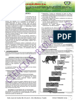 2 Taxonomia y Sistemática Sin Claves