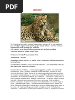 Leopardo