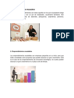 Tipos Proyectos de Emprendimiento