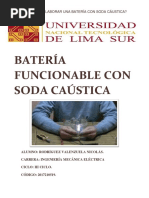 Batería Funcionable Con Soda Caústica