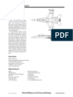 Boeing FA-18 2010.teal - Group.december.2010