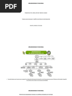 Actividad Organigrama Funcional