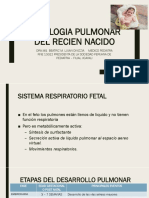 Fisiologia Pulmonar