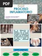 Proceso Inflamatorio