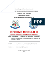 Informe Micki Modulo Iii