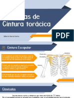 Fracturas de Cintura Escapular