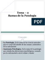 Patologia Tema 2 Ramas de La Patologia 20018