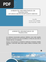 Ambientes Sedimentarios de Transicion-Final