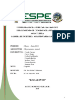 Informe Ligamiento