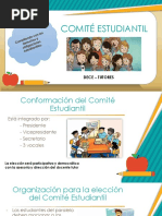 Comité Estudiantil - Funciones