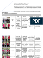 Práctica 6 Enriquecimiento y Estratificación de Comunidades Microbianas