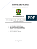 Trabajo Final de Negocios Internacionales