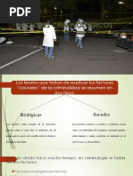 Factores Criminologicos