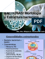 Morfologia y Estructura Bacteriana