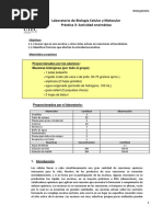 Lab 3 - Actividad Enzimatica