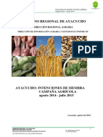 Intenciones PDF