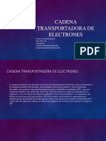 Cadena Electrones