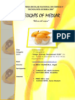 El Mispero PDF