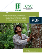 Informe IPHAE Completo Final PDF