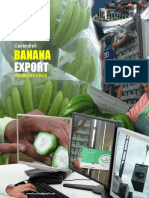 Cavendish Banana Export Business Feasibility Study (Proposal)