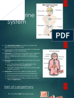 Endocrine System