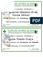 Certificado Promessa