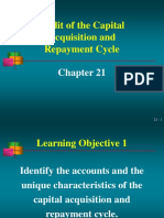 Audit of The Capital Acquisition and Repayment Cycle