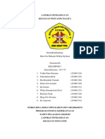 Laporan Pendahuluan Posyandu