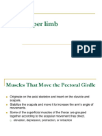 Upper Limb Lecture 1