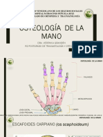 Osteologia de La Mano