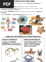 1eso.t8. Animales Vertebrados