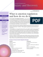 What Is Emotion Regulation Info Brief