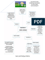 Actividad 4 Mapa Mental Registro de Cuentas Contables