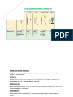 Fenologia Del Culantro Coriand Sativam Temperatura 22