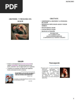 Apuntes Curso de Fisiologia Pedagogia A Abordaje Desde Fisioterapia Del Dolor PDF