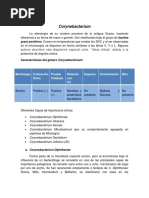 Corynebacterium