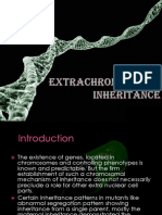 Extrachromosomal Inheritance