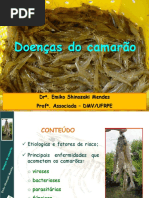 Doencas Do Camarao Emiko Shinozaki PDF